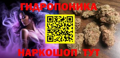 бошки Тара