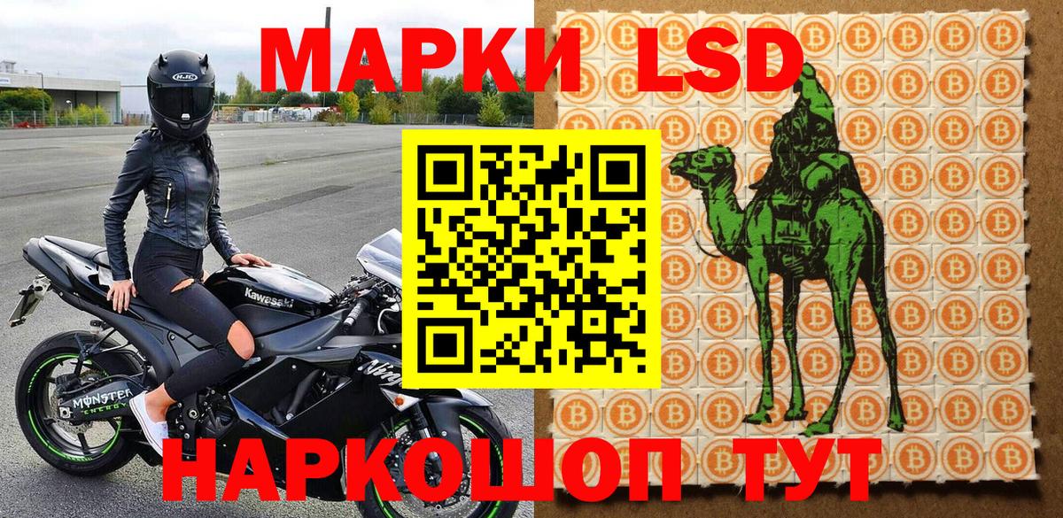 Марки NBOMe  где найти наркотики  Вход с VPN  Новосибирск  Марки NBOMe 1500мкг 