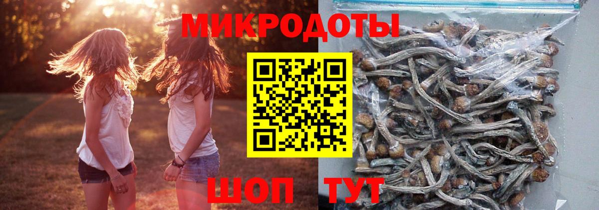 Галлюциногенные грибы мухоморы Новосибирск